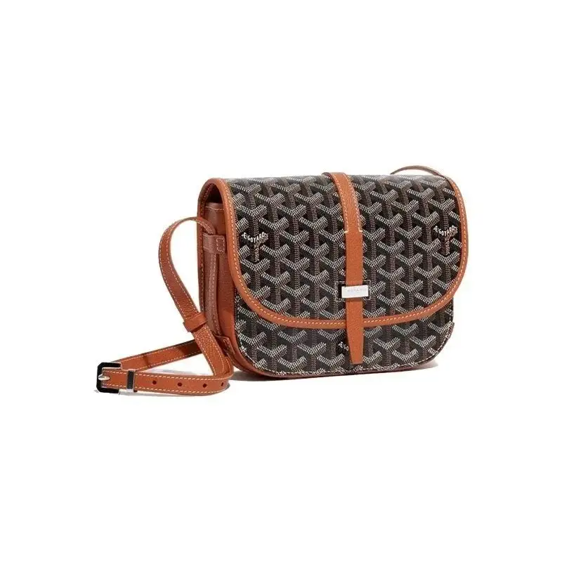 Goyard Saint Louis PM Crossbody Bags 2