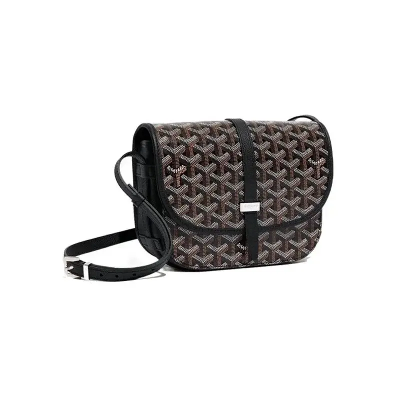 Goyard Saint Louis PM Crossbody Bags 3