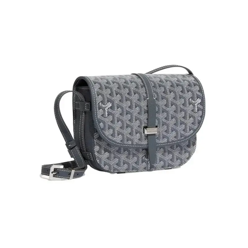Goyard Saint Louis PM Crossbody Bags 4