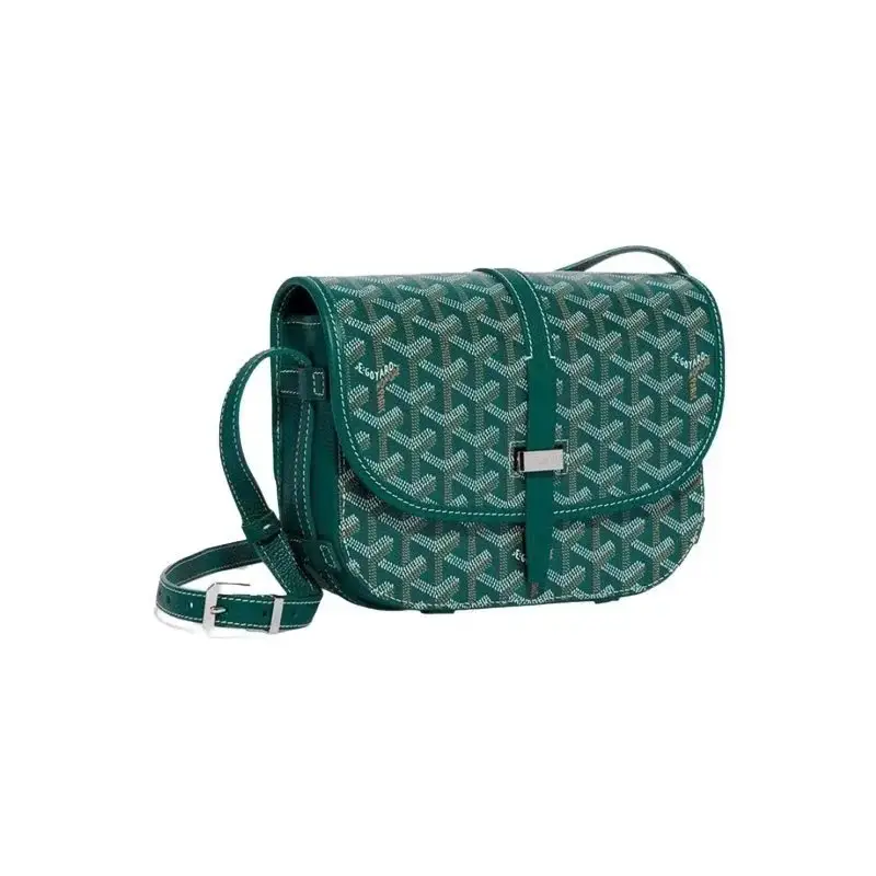 Goyard Saint Louis PM Crossbody Bags 5