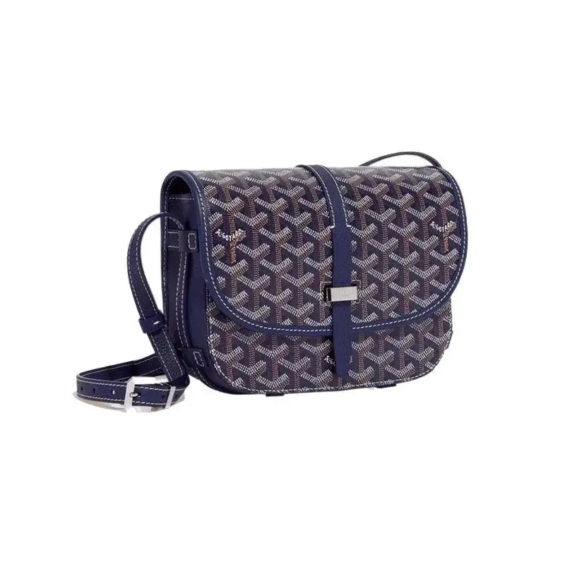 Goyard Saint Louis PM Crossbody Bags 6
