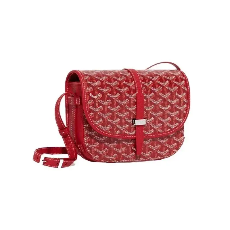 Goyard Saint Louis PM Crossbody Bags 7