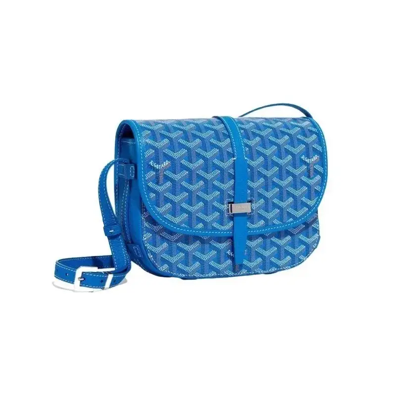 Goyard Saint Louis PM Crossbody Bags 8