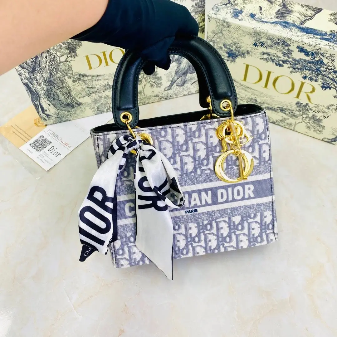 Dior Handbags 7